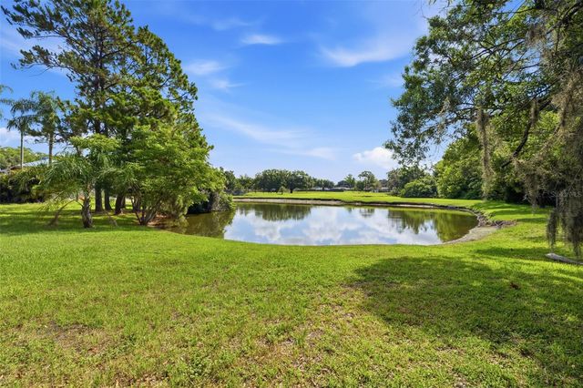 14801 PERRIWINKLE PLACE, Tampa, FL 33625