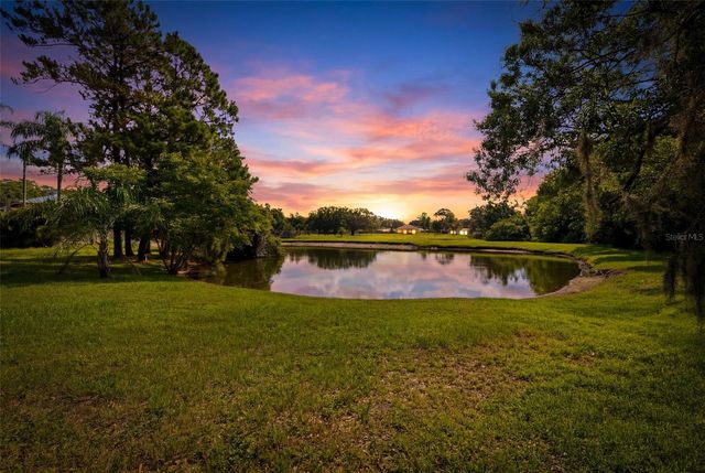 14801 PERRIWINKLE PLACE, Tampa, FL 33625