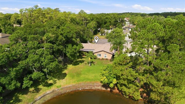 14801 PERRIWINKLE PLACE, Tampa, FL 33625