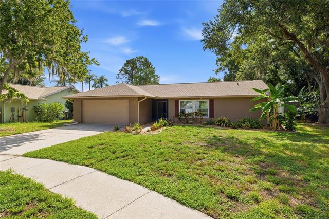 14801 PERRIWINKLE PLACE, Tampa, FL 33625
