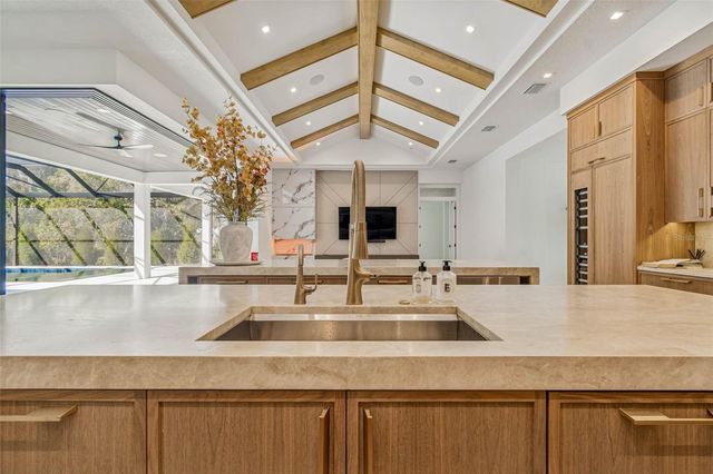 17720 ROYAL EAGLE LANE, Lutz, FL 33549