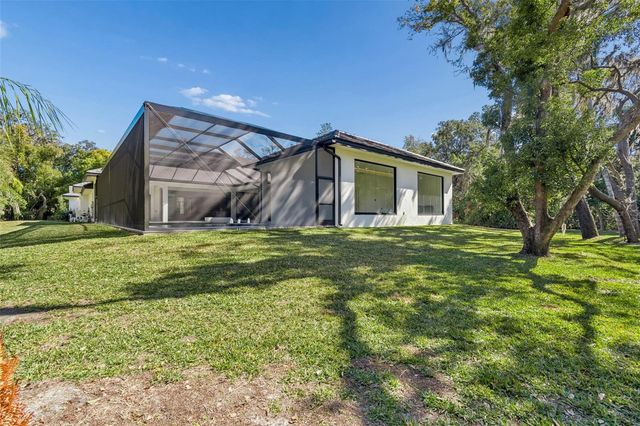 17720 ROYAL EAGLE LANE, Lutz, FL 33549
