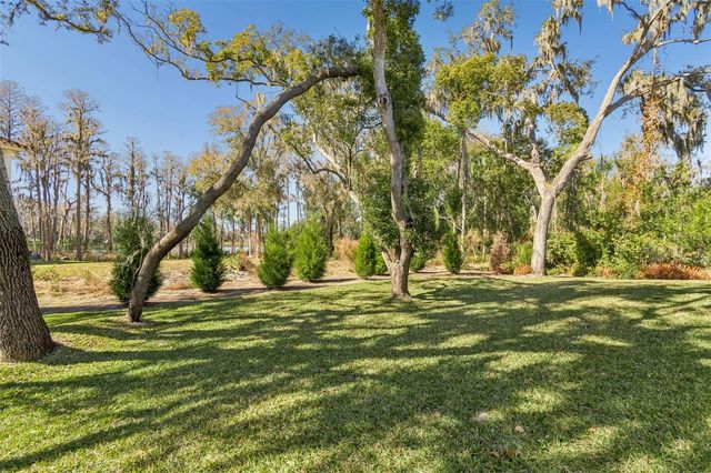 17720 ROYAL EAGLE LANE, Lutz, FL 33549