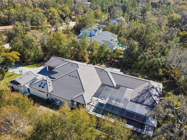 17720 ROYAL EAGLE LANE, Lutz, FL 33549