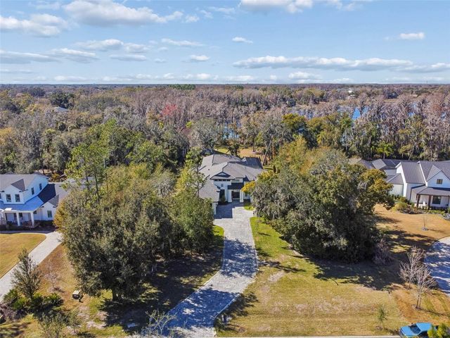 17720 ROYAL EAGLE LANE, Lutz, FL 33549
