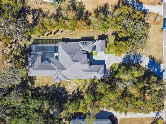 17720 ROYAL EAGLE LANE, Lutz, FL 33549