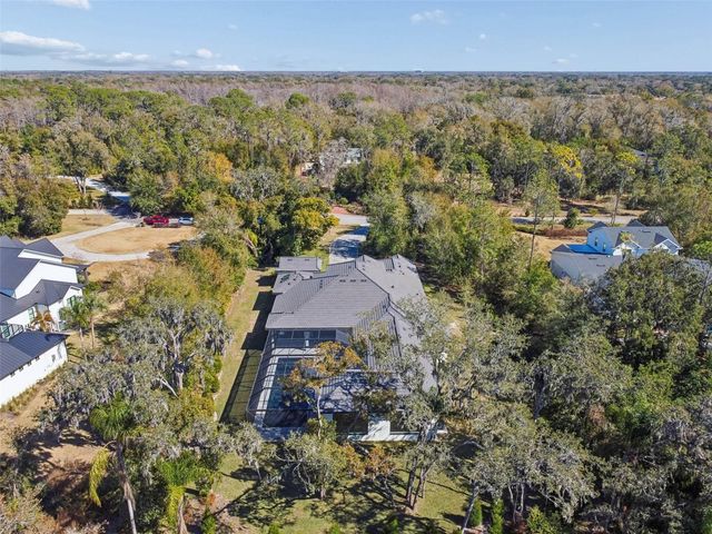 17720 ROYAL EAGLE LANE, Lutz, FL 33549