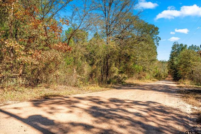 170 Private Road 52423, Leesburg, TX 75451