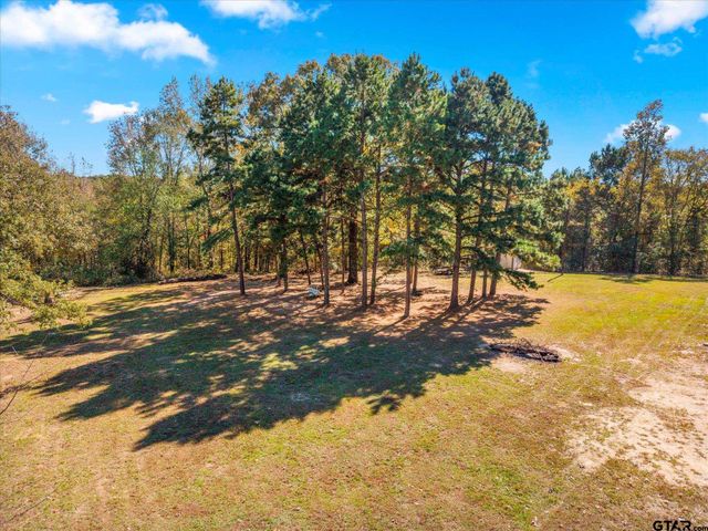 170 Private Road 52423, Leesburg, TX 75451