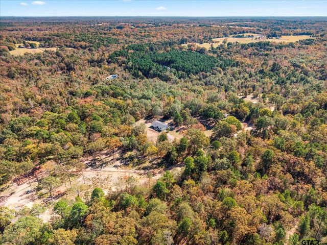 170 Private Road 52423, Leesburg, TX 75451