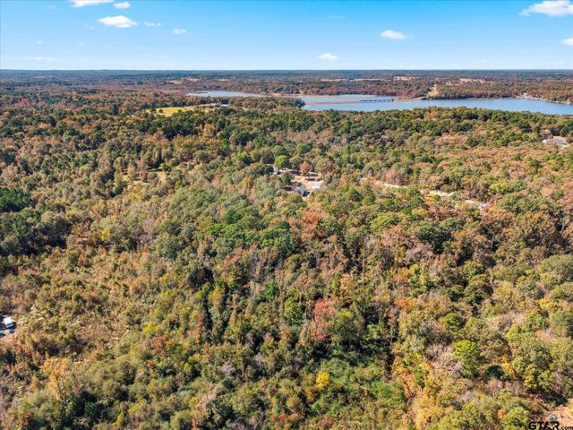 170 Private Road 52423, Leesburg, TX 75451