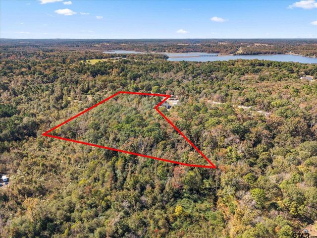 170 Private Road 52423, Leesburg, TX 75451