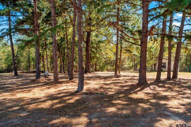 170 Private Road 52423, Leesburg, TX 75451