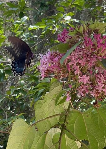 109 King Cotton Road, Brunswick, GA 31525