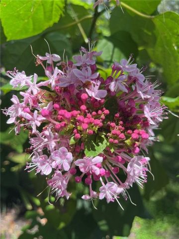 109 King Cotton Road, Brunswick, GA 31525