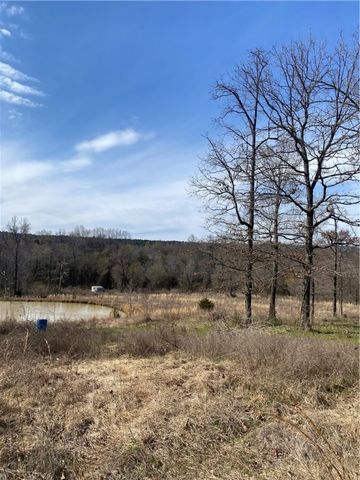 3447 3201, Clarksville, AR 72830