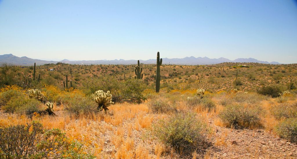 13xxx N Ambush Lane 11, Fort McDowell, AZ 85264 — exterior