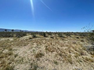 0 Dos Palmas AVE, Pinon Hills, CA 92372