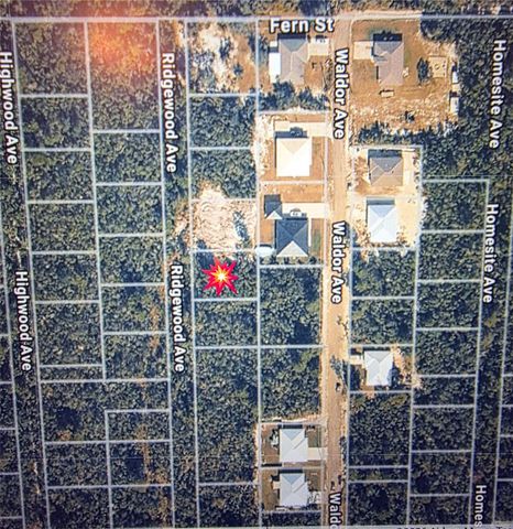 RIDGEWOOD AVENUE, Orange City, FL 32763