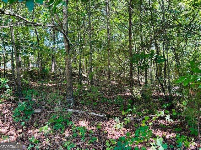 810 Austin Drive, Demorest, GA 30535