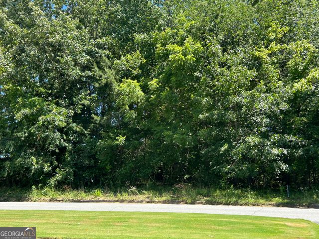 810 Austin Drive, Demorest, GA 30535