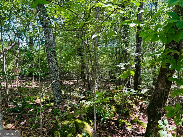 810 Austin Drive, Demorest, GA 30535