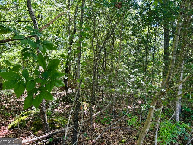 810 Austin Drive, Demorest, GA 30535