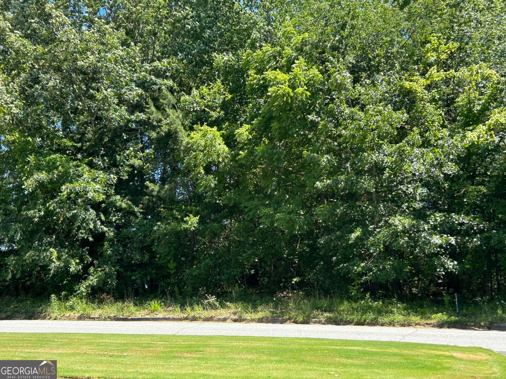 810 Austin Drive, Demorest, GA 30535 — photo 5
