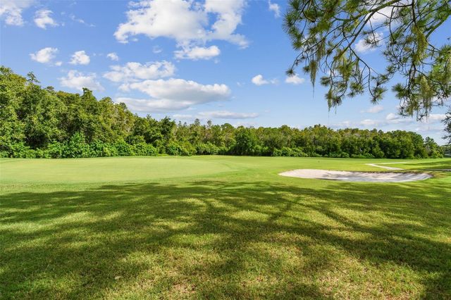 5354 LOOKOUT PASS, Wesley Chapel, FL 33544