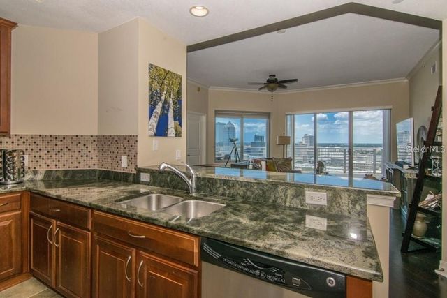 1209 E CUMBERLAND AVENUE 2502, Tampa, FL 33602