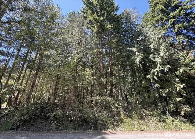 121 N Bagley Creek Road, Port Angeles, WA 98362