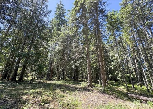 121 N Bagley Creek Road, Port Angeles, WA 98362