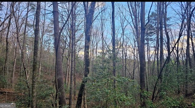 481 McKay Road, Lakemont, GA 30552