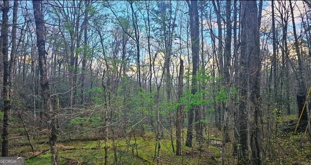 481 McKay Road, Lakemont, GA 30552