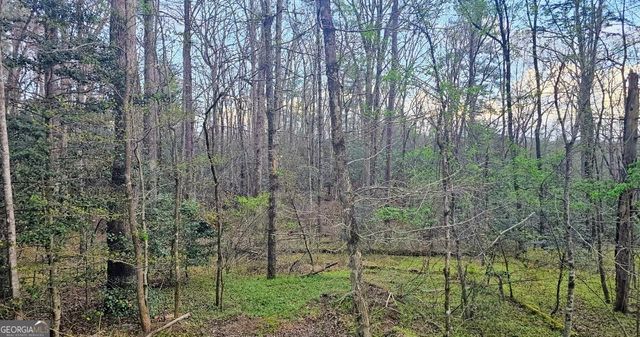 481 McKay Road, Lakemont, GA 30552