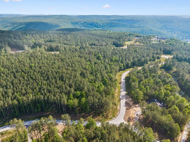 1109 Birds Eye Way, Guild, TN 37340