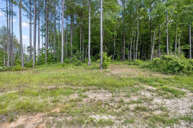 1109 Birds Eye Way, Guild, TN 37340