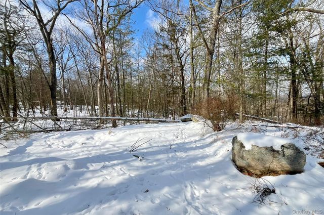 12 Deer Path Road, Tuxedo Park, NY 10987