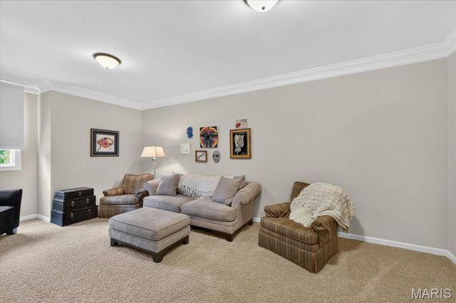 16925 Todd Evan Trail Road, Chesterfield, MO 63005