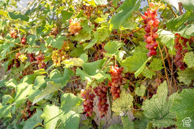 4571 W HILLSIDE DR, Vernal, UT 84078