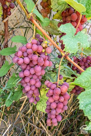 4571 W HILLSIDE DR, Vernal, UT 84078