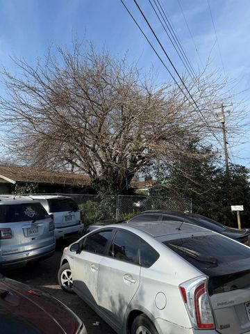 7205 Chesney Way, Rio Linda, CA 95673