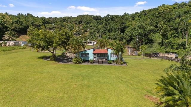 CARR. 992 BO. MATA DE PLATANO KM 4.9, Luquillo, PR 00773