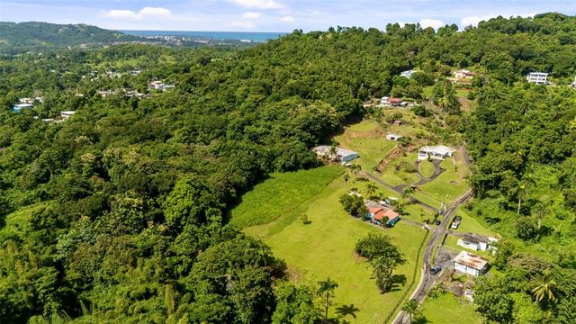 CARR. 992 BO. MATA DE PLATANO KM 4.9, Luquillo, PR 00773