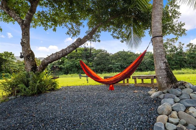 CARR. 992 BO. MATA DE PLATANO KM 4.9, Luquillo, PR 00773