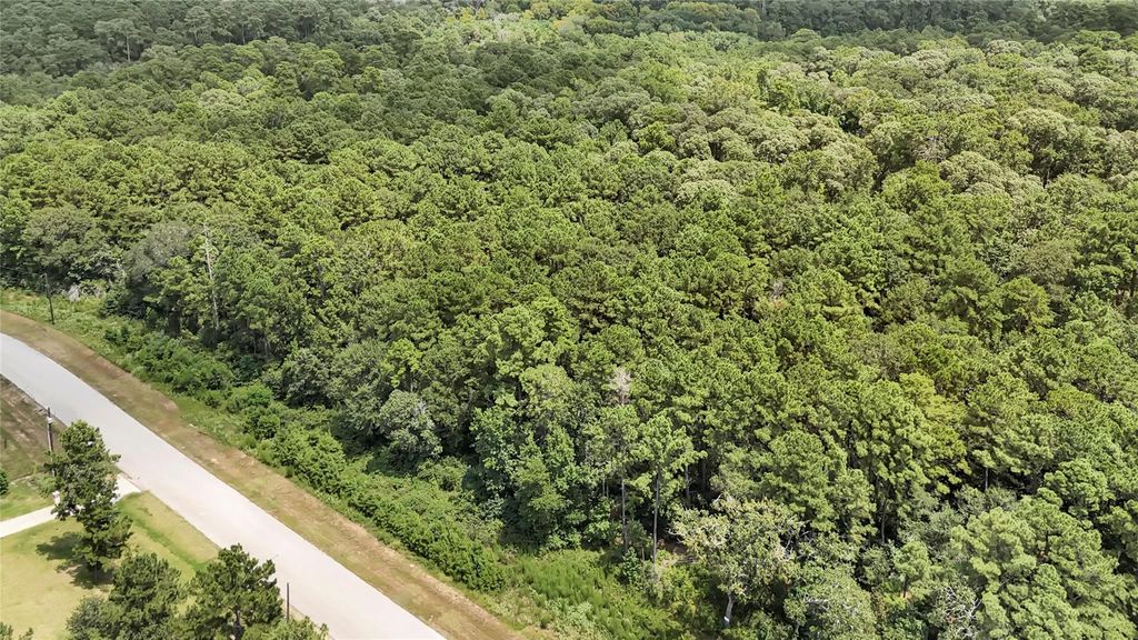 7-23-67 Sky Oak Lane, Huntsville, TX 77340