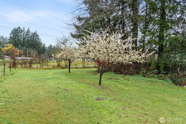 9918 168th Avenue SW, Rochester, WA 98579