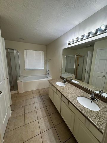 246 W Stedhill Loop W, The Woodlands, TX 77384