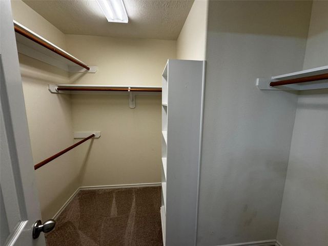 246 W Stedhill Loop W, The Woodlands, TX 77384