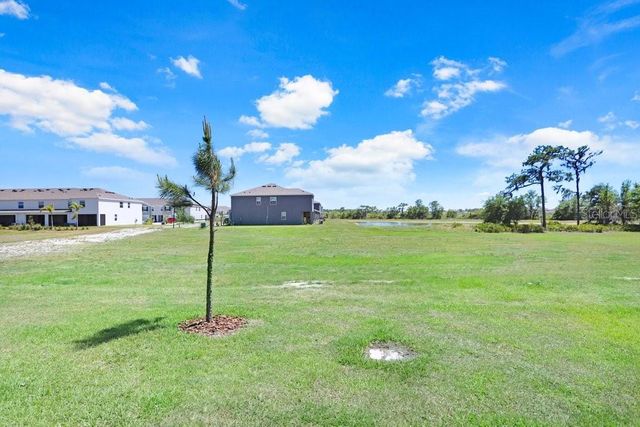 32978 TULIP PETAL LANE, Wesley Chapel, FL 33545